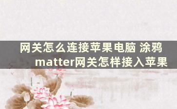 网关怎么连接苹果电脑 涂鸦matter网关怎样接入苹果